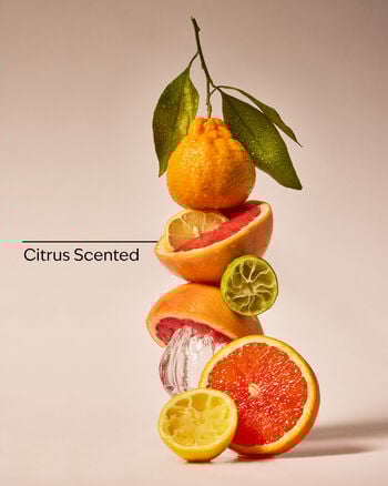 Exfoliating Body Wash Exfoliating Body Wash Travel Size Exfoliating Body Wash