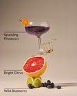 Blueberry Bellini Wallflowers Fragrance Refill image number null