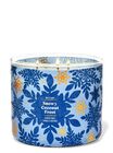 Snowy Coconut Frost 3-Wick Candle image number null