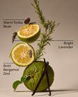 Lavender Bergamot 3-Wick Candle image number null