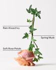 Rose Water & Ivy Gentle Gel Hand Soap image number null