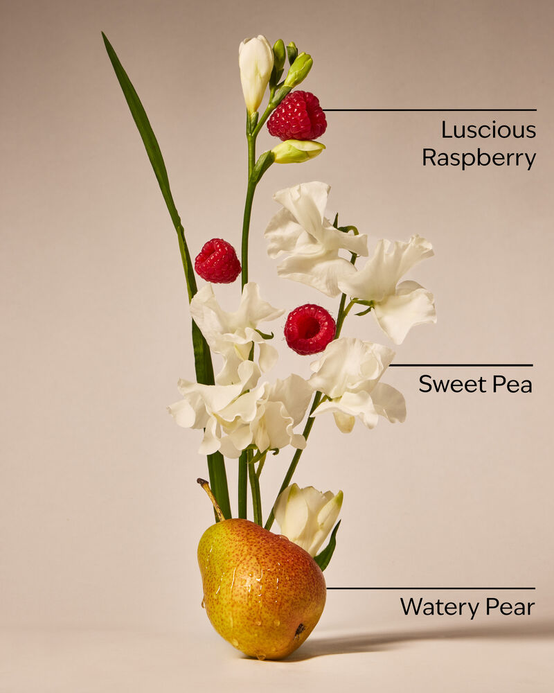 Sweet Pea Wallflowers Fragrance Refill Wallflowers Fragrance Refill