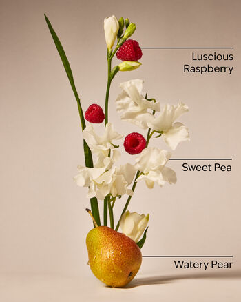 Sweet Pea Wallflowers Fragrance Refill Wallflowers Fragrance Refill