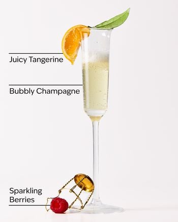 Champagne Toast Car Fragrance Refill Car Fragrance Refill