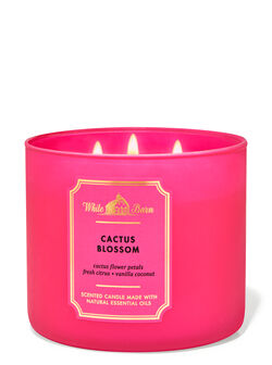 Cactus Blossom 3-Wick Candle Cactus Blossom 3-Wick Candle
