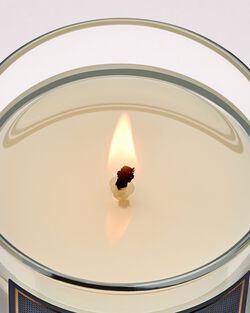 Midnight Blue Citrus Single Wick Candle image number null