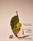 Cactus Blossom Wallflowers Fragrance Refill image number null