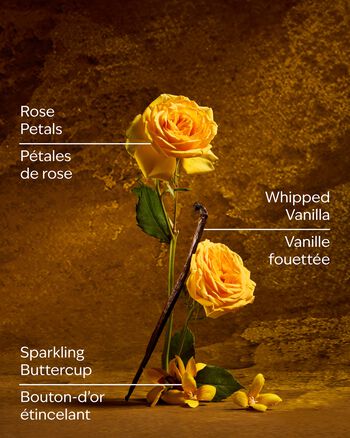 Belle Ultimate Hydration Body Cream Ultimate Hydration Body Cream