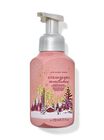 Strawberry Snowflakes Gentle & Clean Foaming Hand Soap image number null