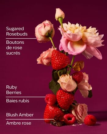 Covered In Roses Wallflowers Fragrance Refill Wallflowers Fragrance Refill