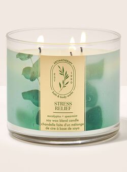 Eucalyptus Spearmint 3-Wick Candle image number null