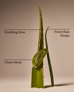 Cool Aloe Water Daily Moisturizing Hand Soap image number null