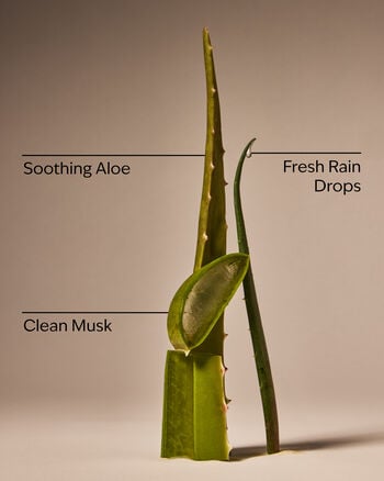 Cool Aloe Water Daily Moisturizing Hand Soap Daily Moisturizing Hand Soap