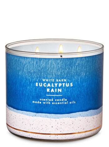Eucalyptus Rain 3-Wick Candle 3-Wick Candle