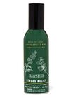 Eucalyptus Spearmint Concentrated Room Spray image number null