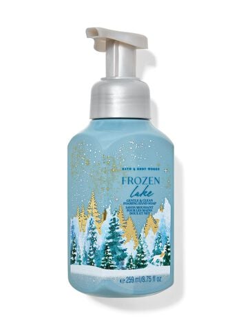 Frozen Lake Gentle & Clean Foaming Hand Soap Gentle & Clean Foaming Hand Soap