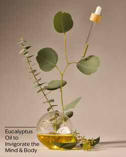Eucalyptus Body Lotion