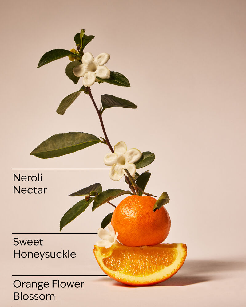 Backyard Honeysuckle 3-Wick Candle 3-Wick Candle