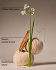 Flowerchild Single Wick Candle image number null