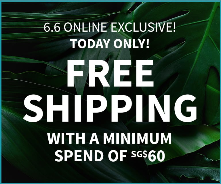 top offer
