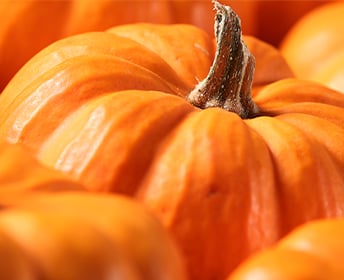 A pile of fresh orange pumpkins