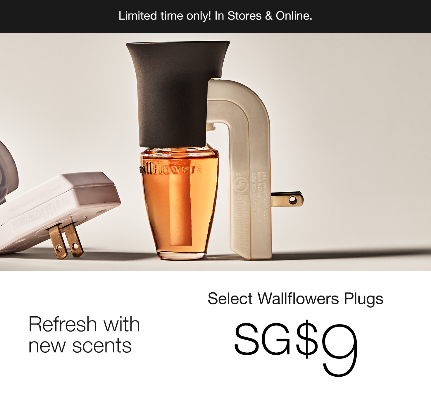  Wallflowers Plugs, Starts from SG$9