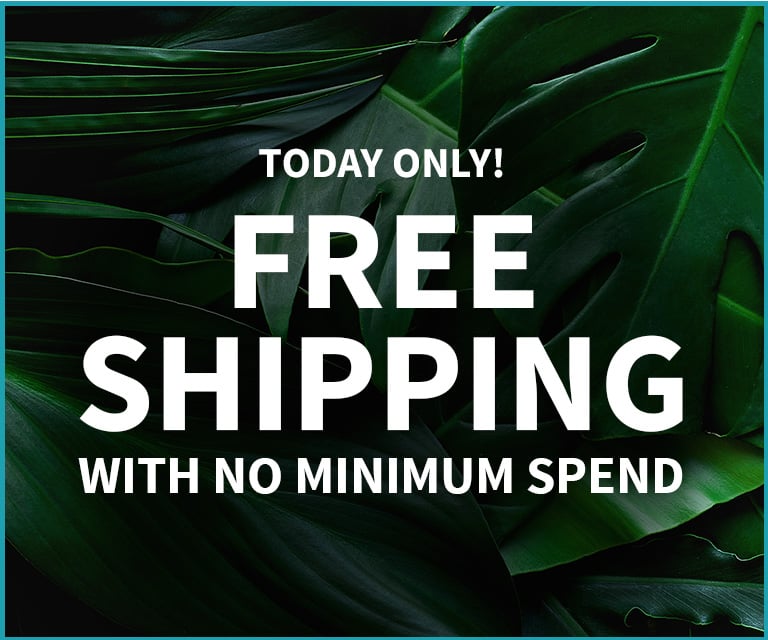 top offers