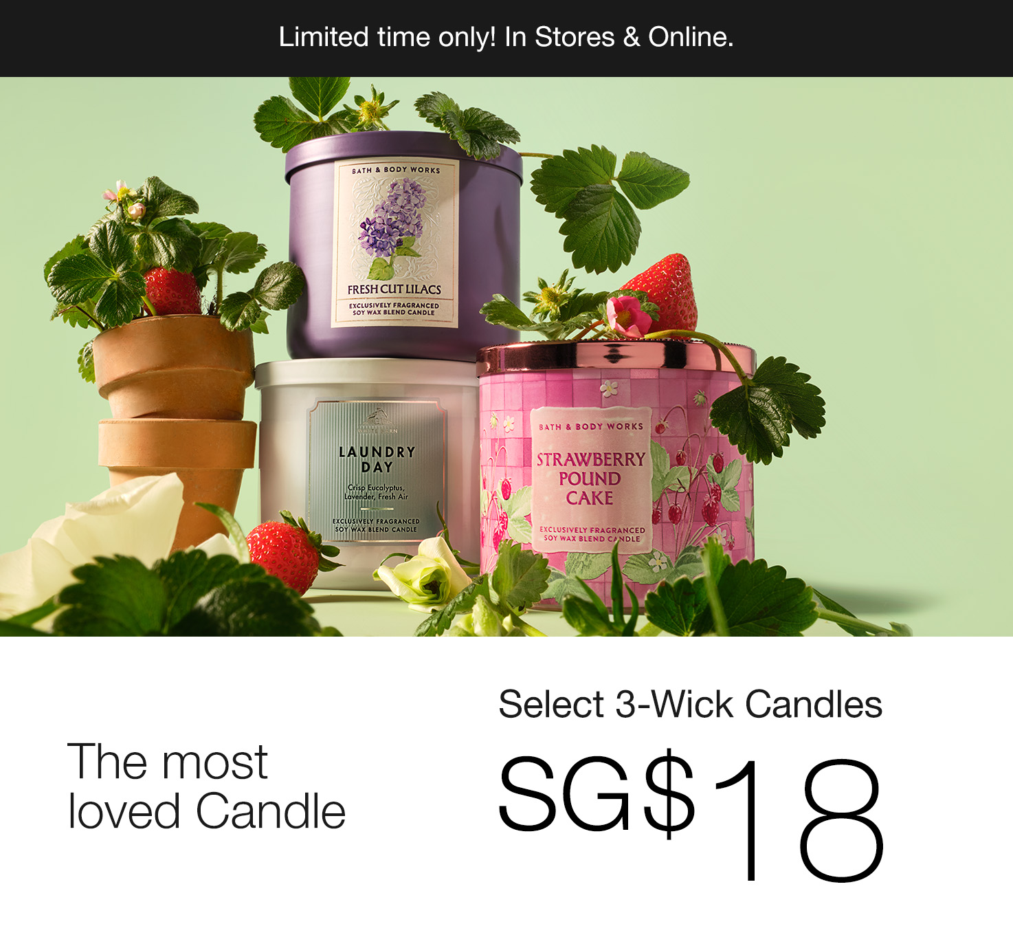 3-Wick Candles, Buy 1 For SG$18