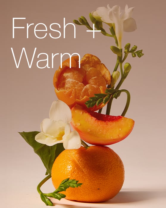 Fresh & Warm Fragrance