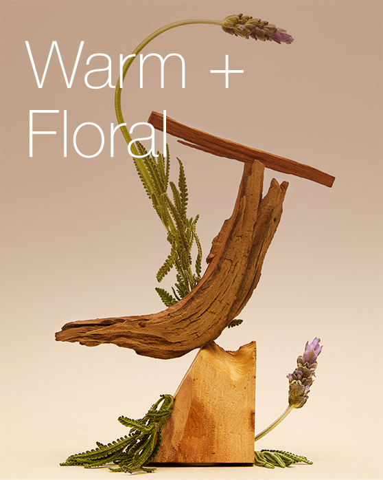 Warm & Floral Fragrance