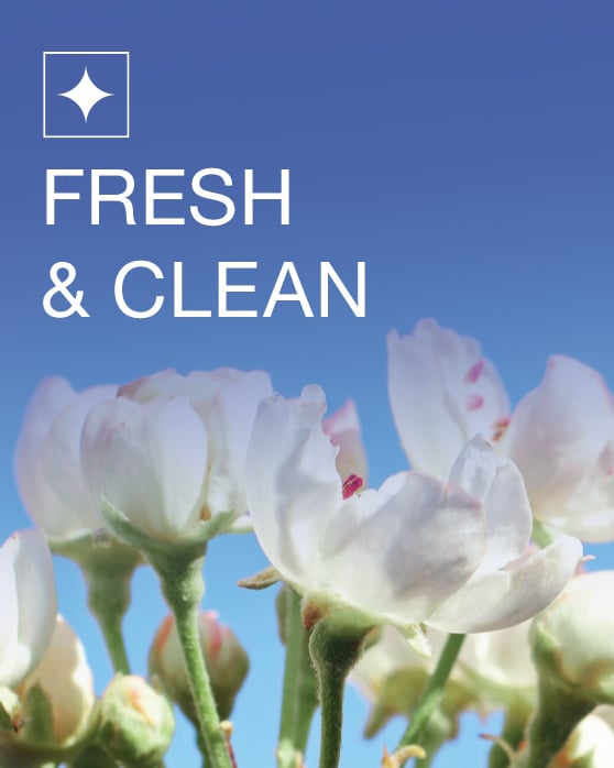 Fresh & Clean